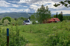 Gravberget-Gard-leden-fra-oven-scaled