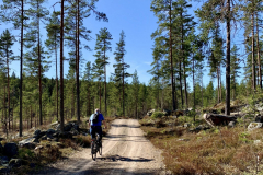 Sykkeltur-Finnskogen-scaled