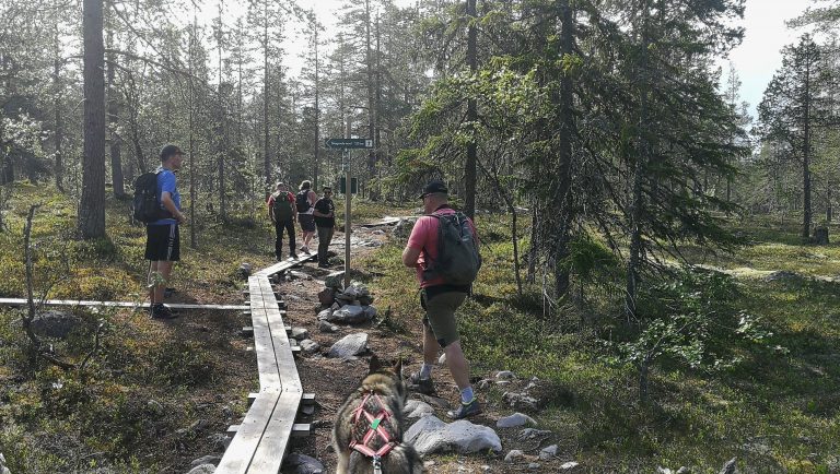 Håbergsrunden